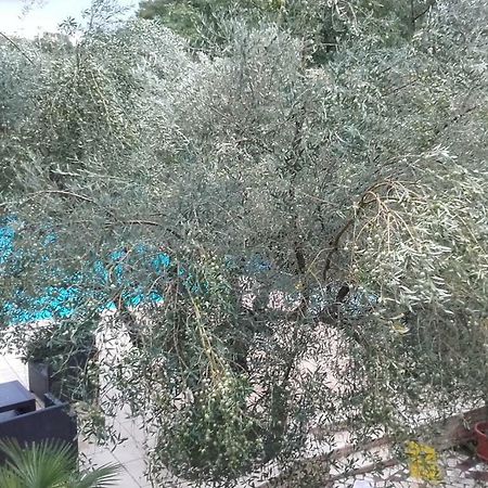 Tar-Vabriga Villa Carolina מראה חיצוני תמונה